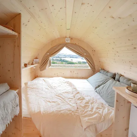 Notte Nella Botte Vignale